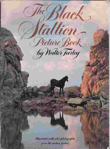 Black Stallion Picture Book
