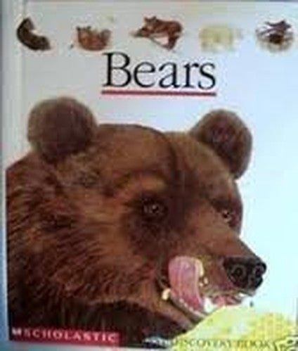 Bears