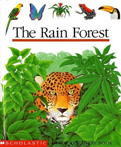 The Rain Forest