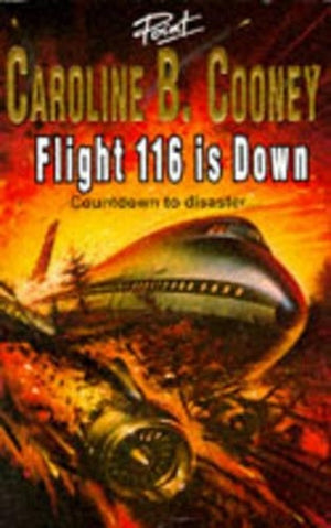 Flight 116 is Down