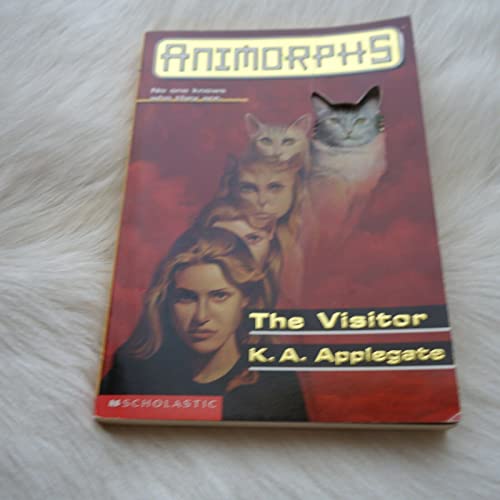 The Visitor