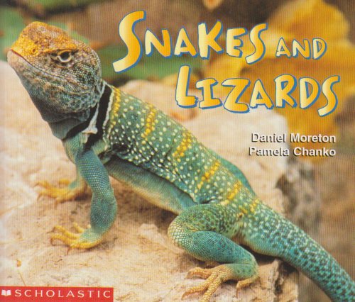 Snakes and Lizards