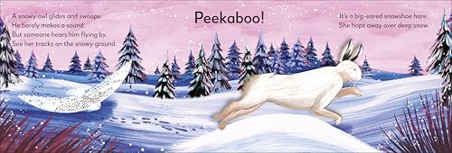 Pop-up Peekaboo! Winter