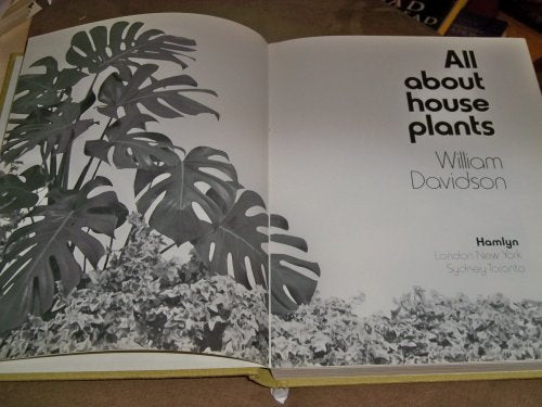 All About House Plants