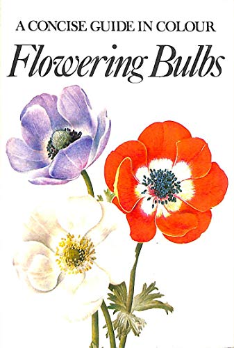 Flowering Bulbs