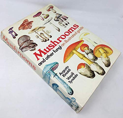 Mushrooms and other fungi