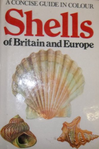 Shells (Concise Guides in Colour)