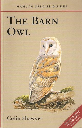 Barn Owl