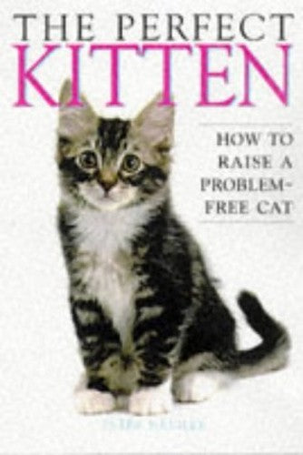 The Perfect Kitten