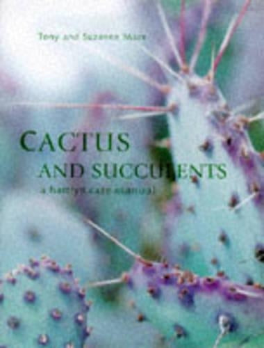 Cactus and Succulents