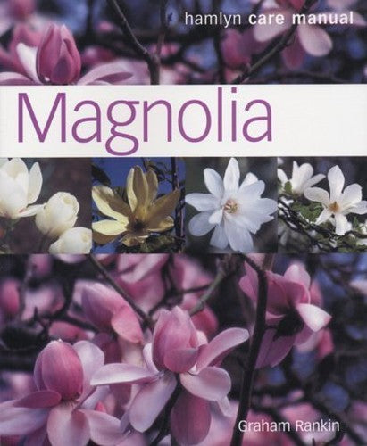 Magnolia