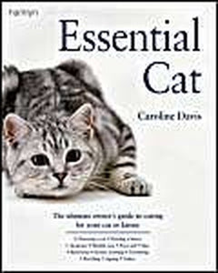 Essential Cat 