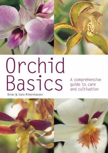 Orchid Basics (Pyramid PB)