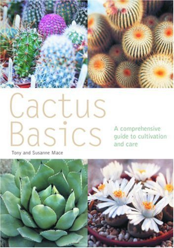Cactus Basics (Pyramid PB)