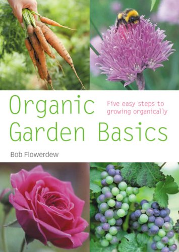 Organic Gardening Basics (Pyramid PB)