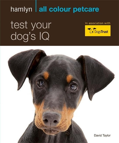 Test Your Dog's IQ
