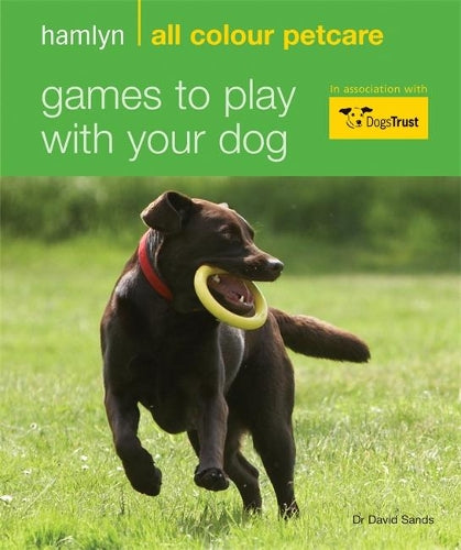 Games to Play with Your Dog