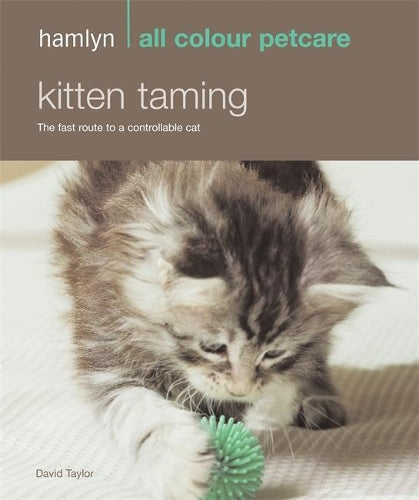 Kitten Taming