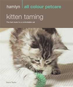 Kitten Taming 