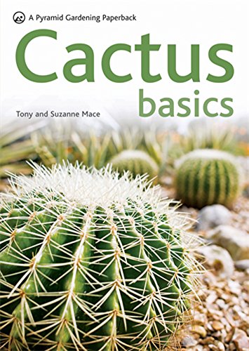 Cactus Basics