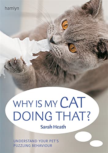 Why Is My Cat Doing That?