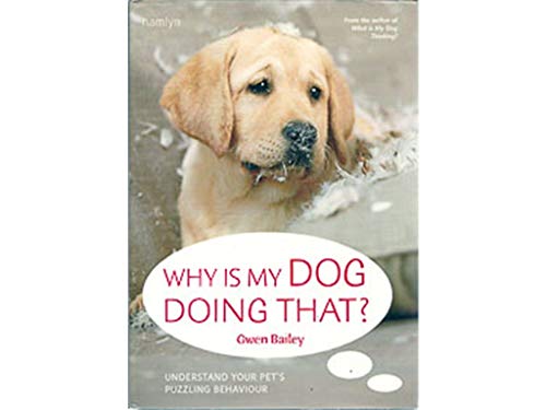 Why Is My Dog Doing That?