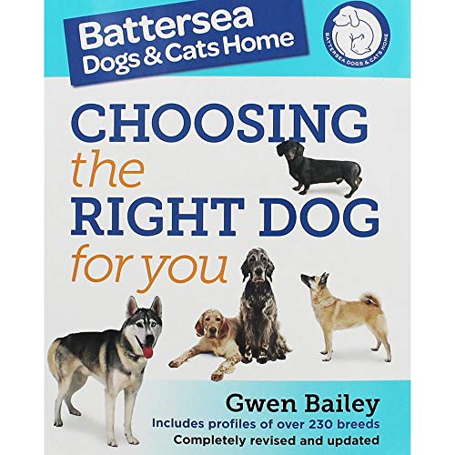 The Battersea Dogs and Cats Home: Choosing The Right Dog For You