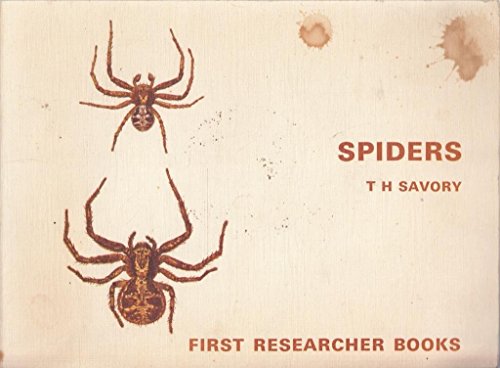 Spiders