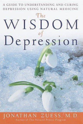 The Wisdom of Depression