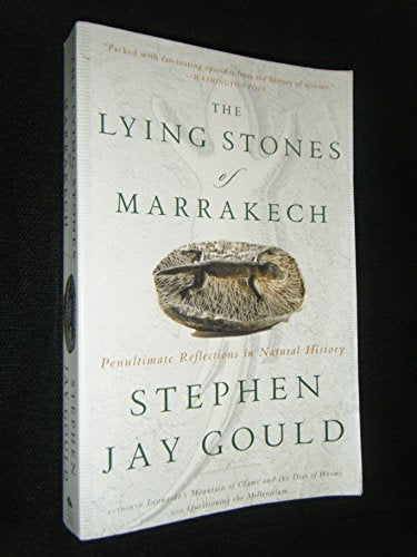 The Lying Stones of Marrakech