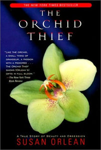 Orchid Thief 