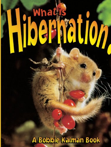 What Is Hibernation?