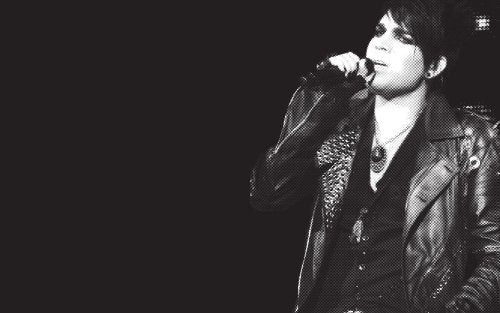 On the Meaning of Adam Lambert