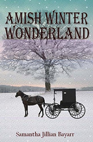Amish Winter Wonderland