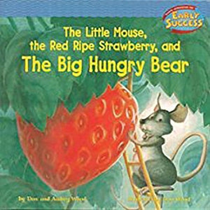 Houghton Mifflin Early Success