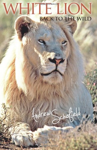 White Lion Back to the wild