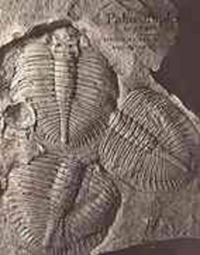 Palaeobiology