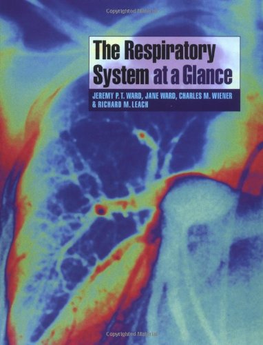 The Respiratory System at a Glance