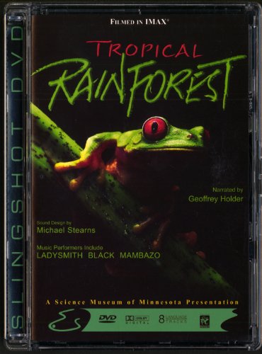 Tropical Rainforest