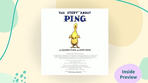 Pp Story about Ping