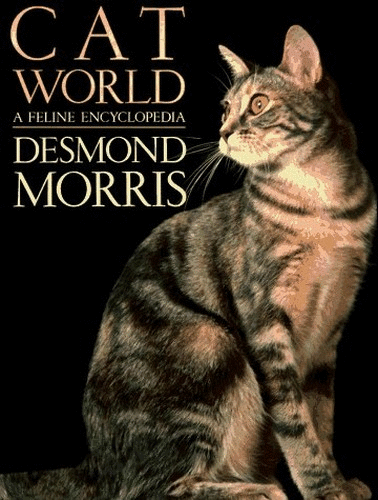 Catworld
