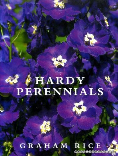 Hardy Perennials