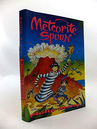 Meteorite Spoon