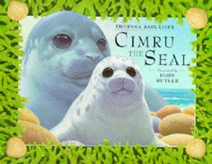 Cimru the Seal