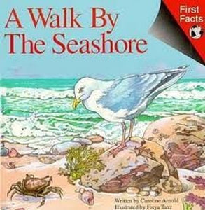 A Walk by the Seashore 