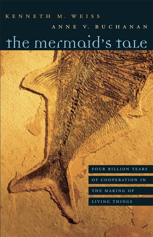 The Mermaids Tale
