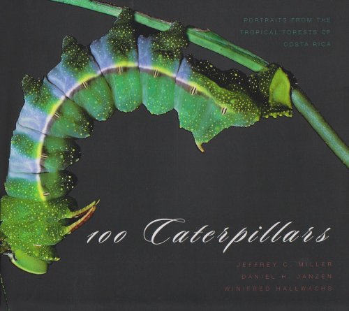 100 Caterpillars