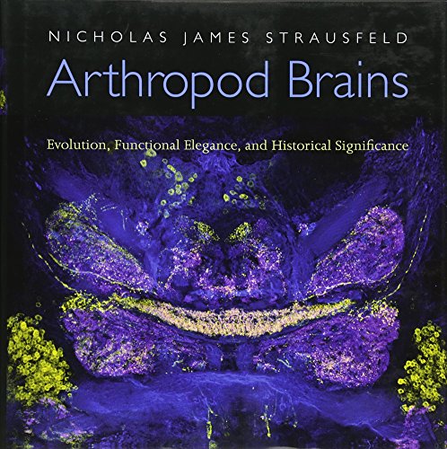 Arthropod Brains