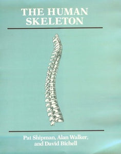 The Human Skeleton 