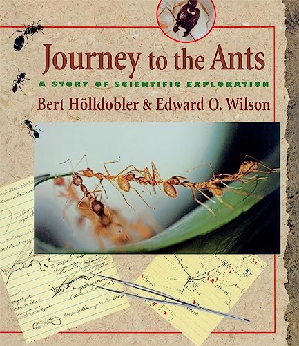 Journey to the Ants